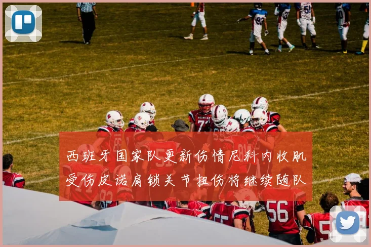 西班牙国家队更新伤情尼科内收肌受伤皮诺肩锁关节扭伤将继续随队训练
