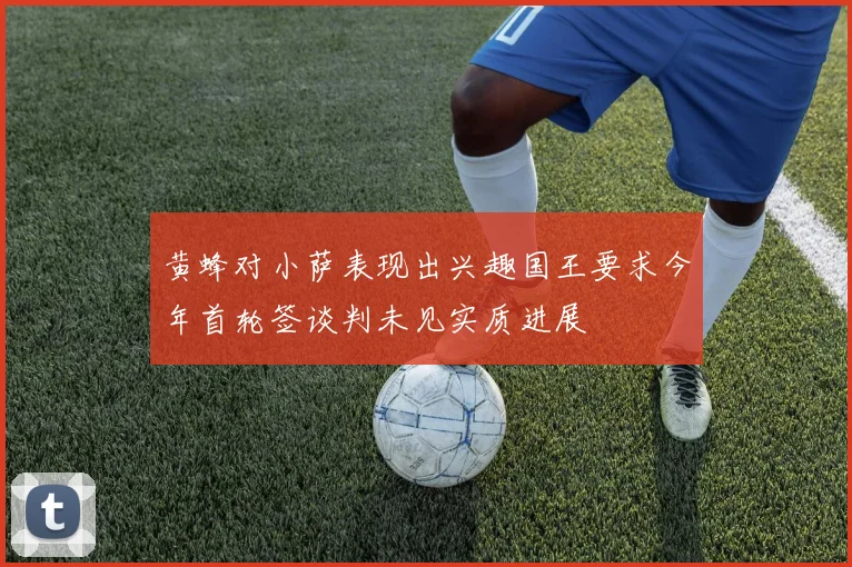 黄蜂对小萨表现出兴趣国王要求今年首轮签谈判未见实质进展