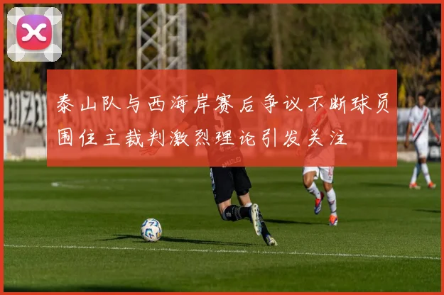 泰山队与西海岸赛后争议不断球员围住主裁判激烈理论引发关注